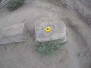 DCIM100GOPROGOPR0372.