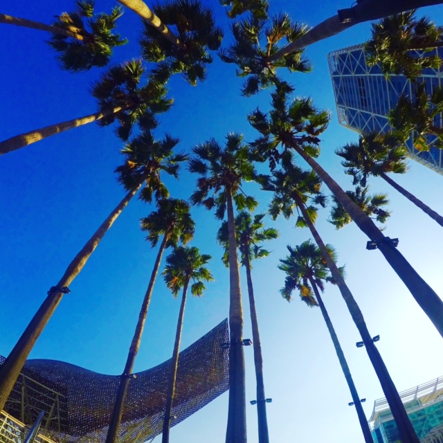 DCIM100GOPROGOPR0830.