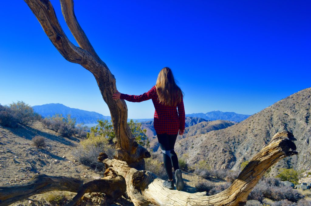 How to Plan a 2 Day Getaway in The Desert