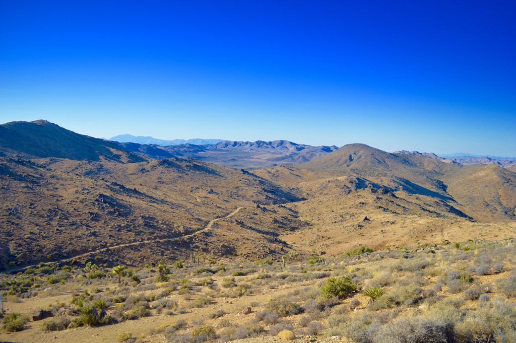 Inspiration 9: Live Easy