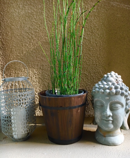 60 Minute Zen Zone