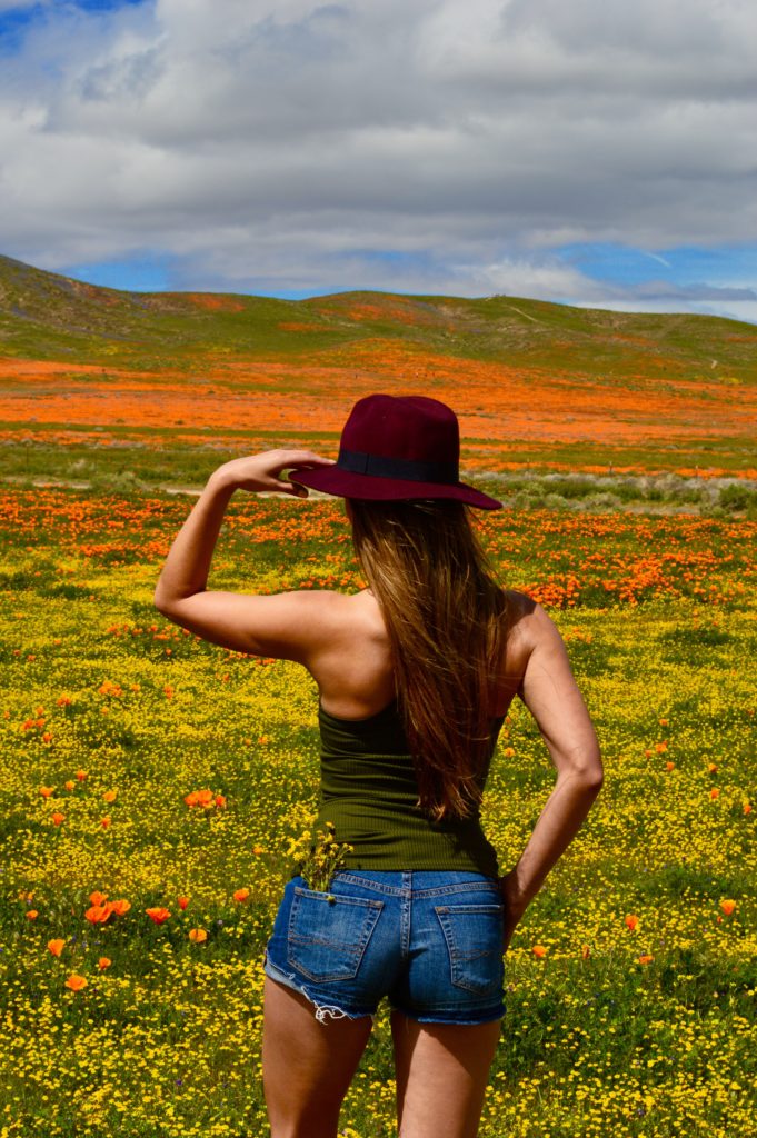 Inspiration 14: Fearless Adventure