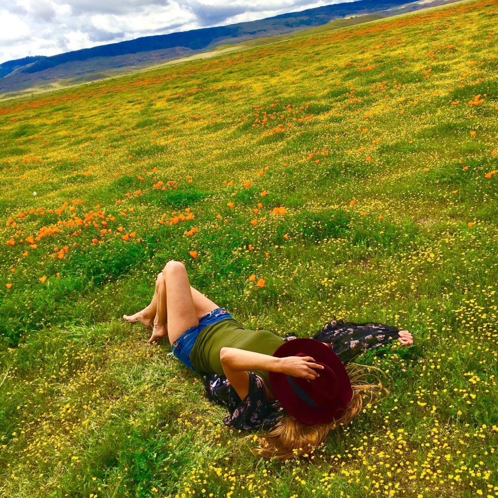 Antelope Valley Super Bloom Photos