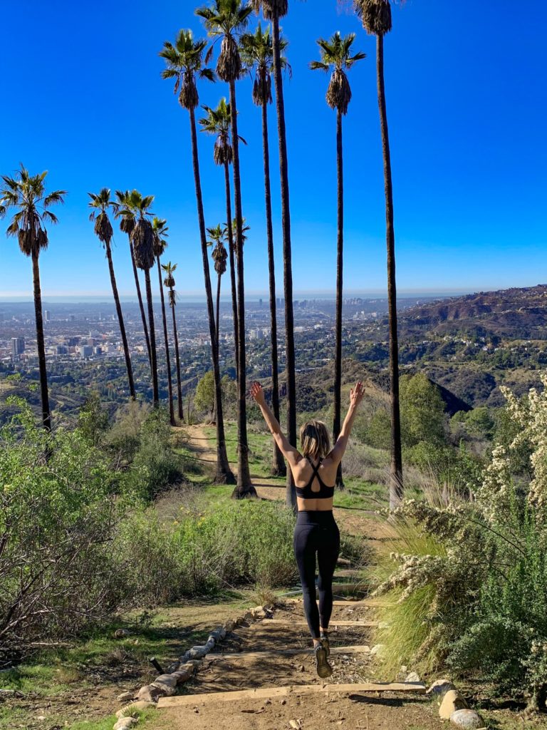 How to Find The Palm Trees in Griffith Park