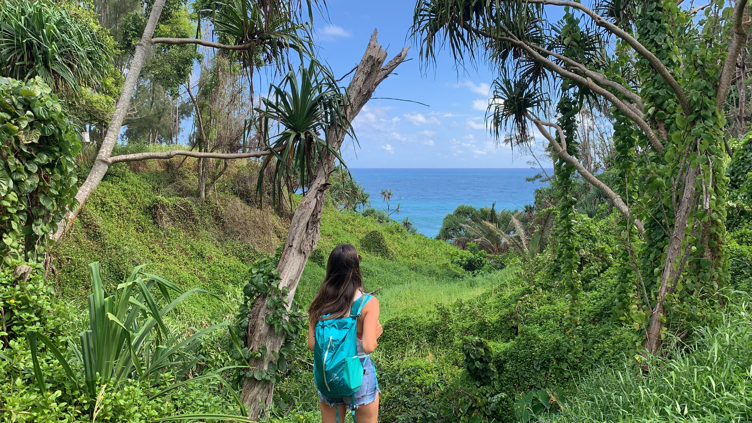 ZY-Photo-2019-08-31-00000090