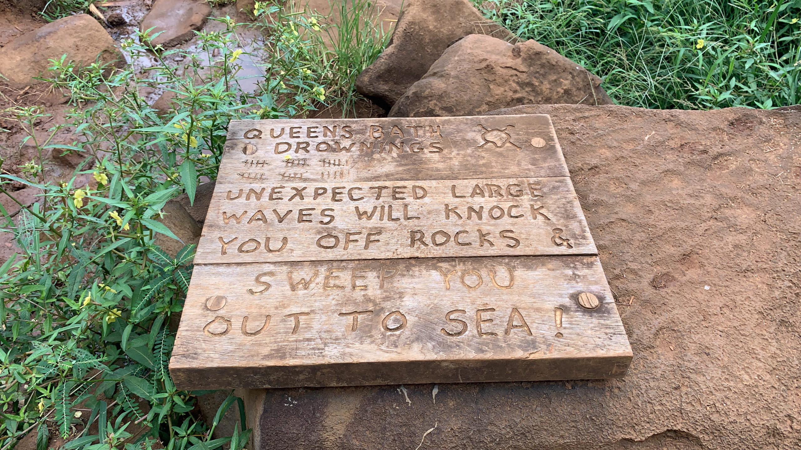 ZY-Photo-2019-08-31-00000106