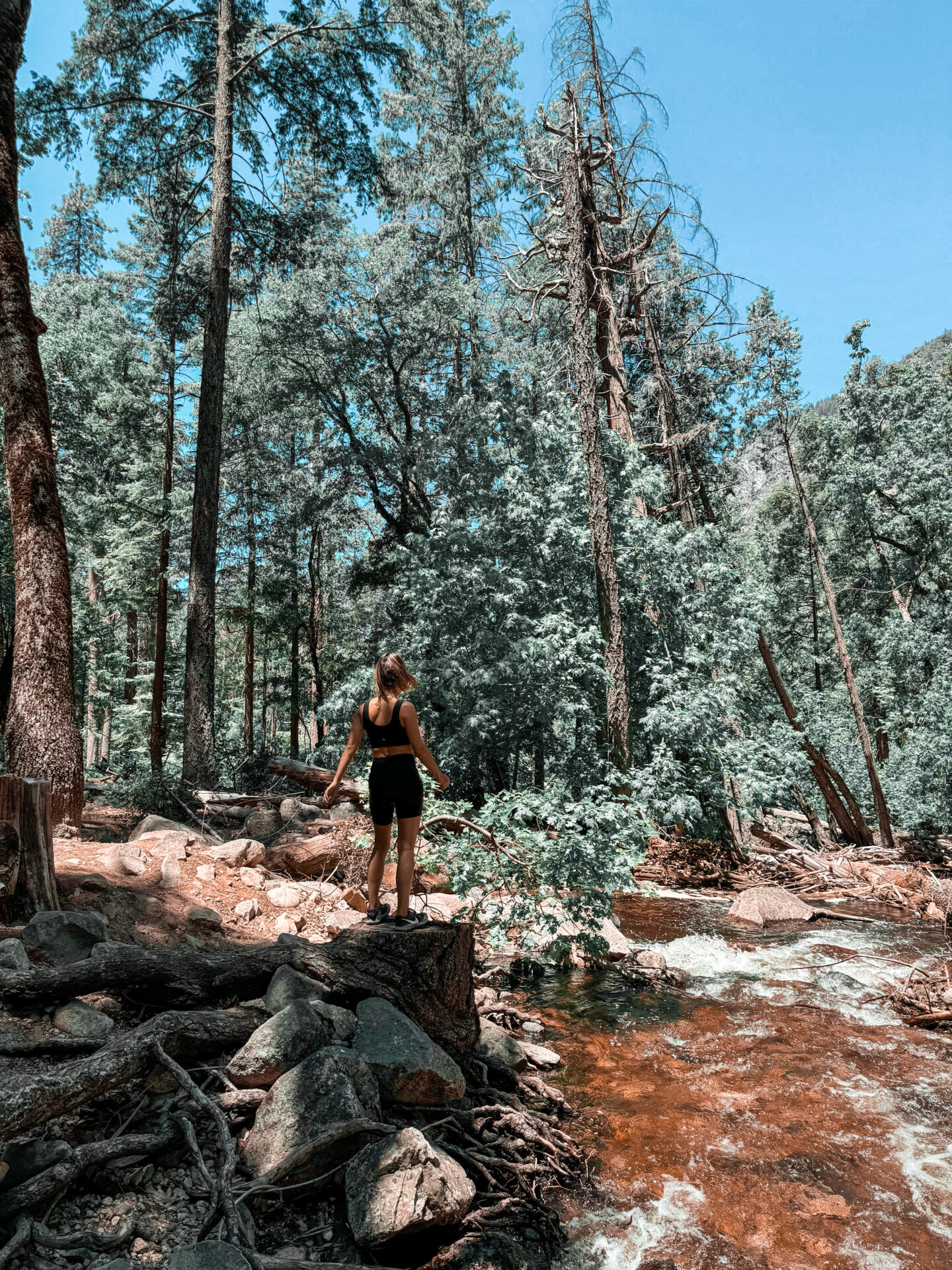 3 Day Yosemite National Park Itinerary With Kids