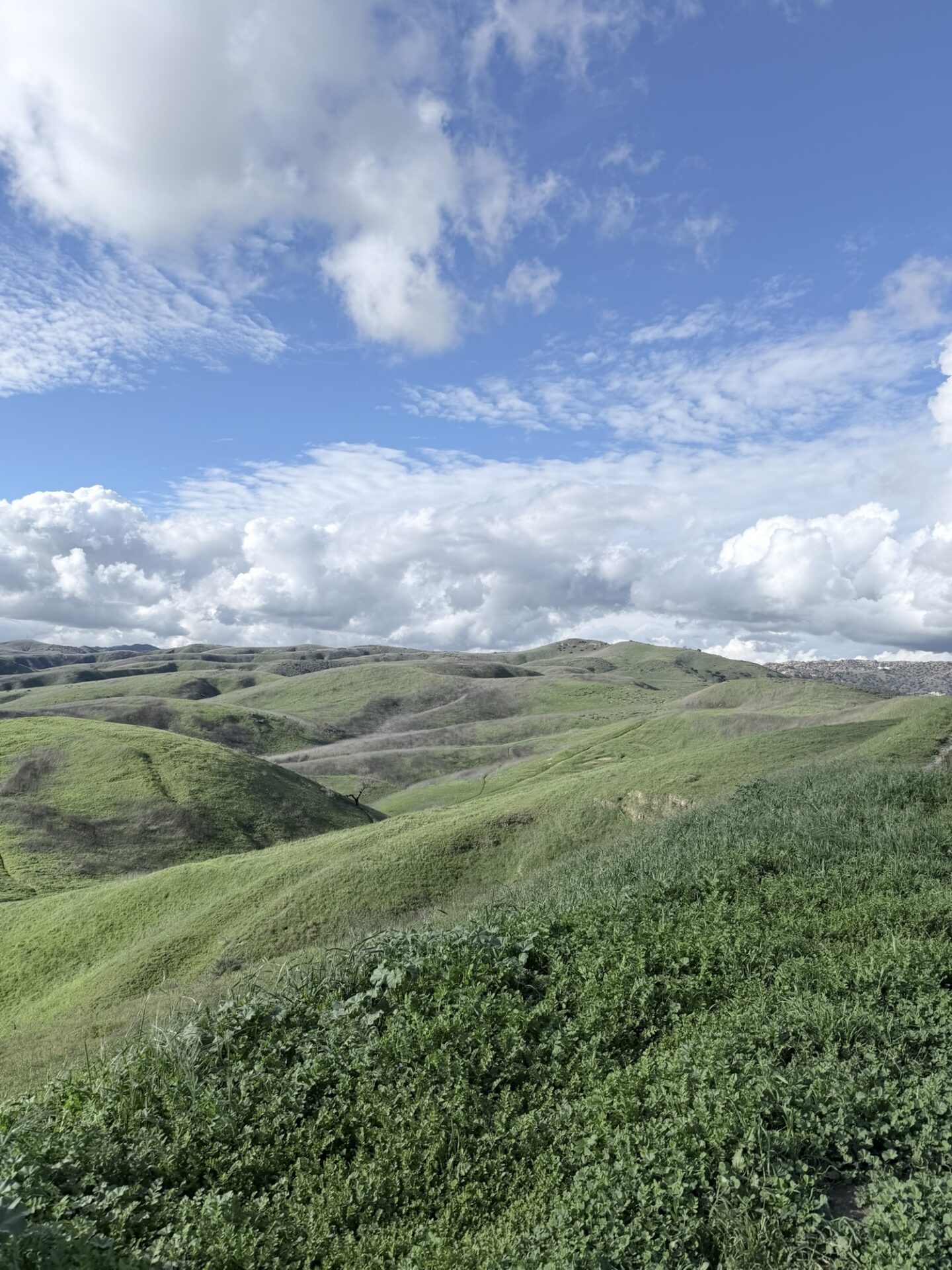 Los Angeles Super Green Hiking Trails